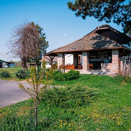 Sun City Vizisport Paradicsom Hódmezővásárhely Exterior foto