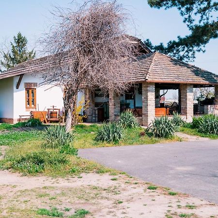 Sun City Vizisport Paradicsom Hódmezővásárhely Exterior foto